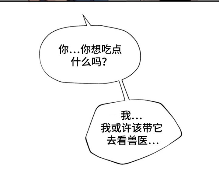 第5章：被发现