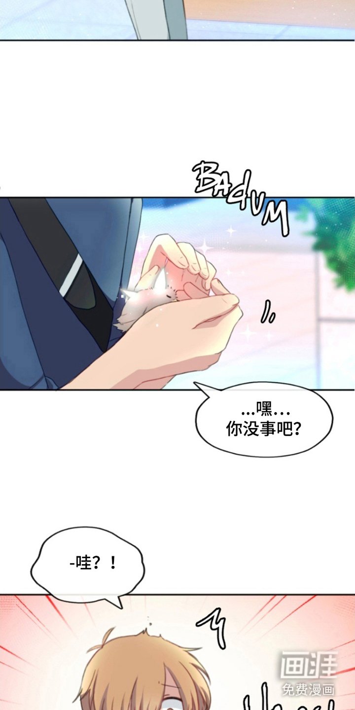 第6章：难道说