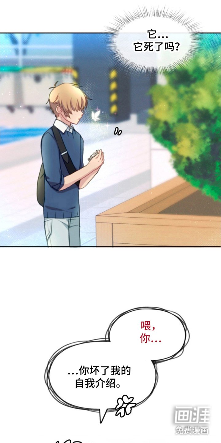 第6章：难道说