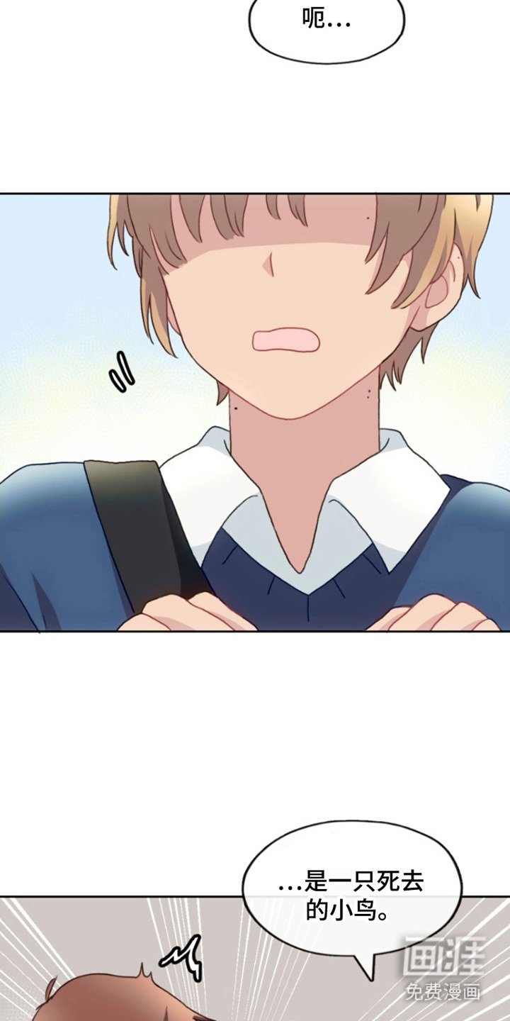 第8章：安息