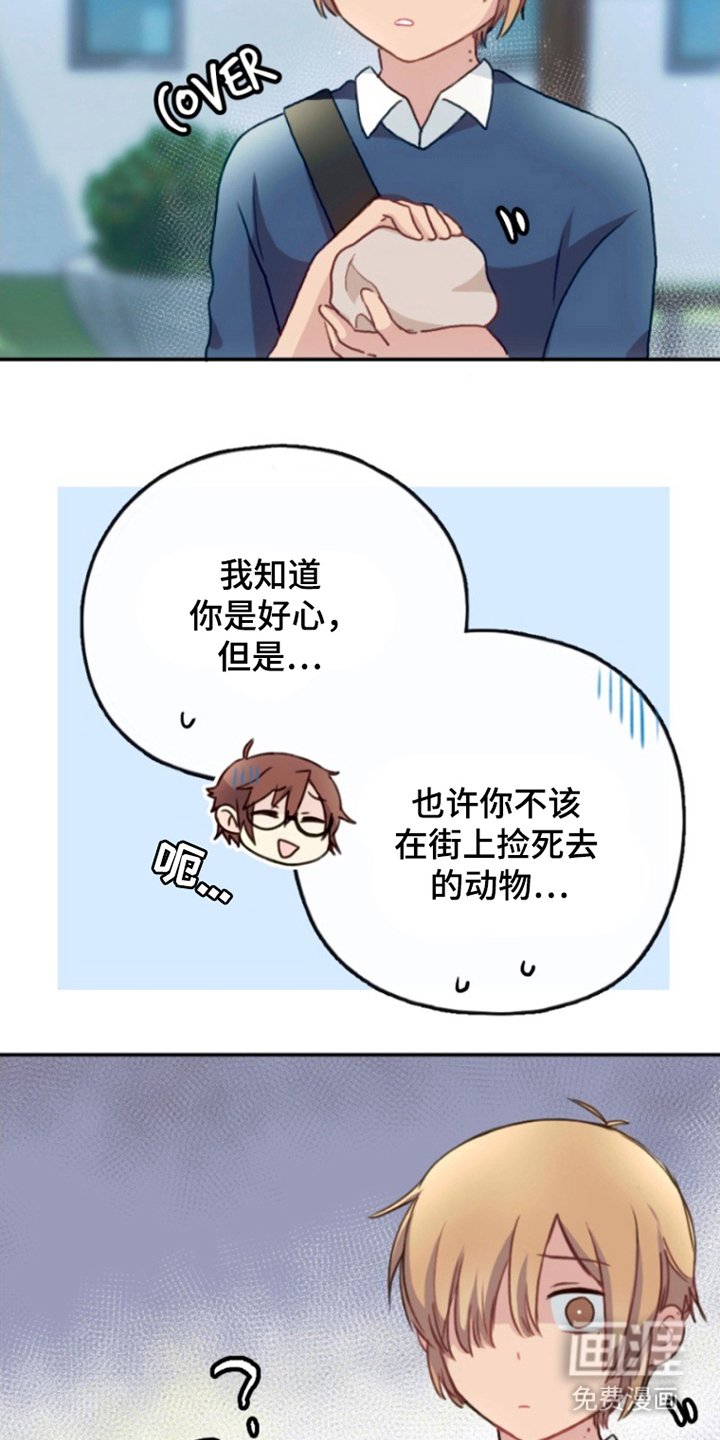 第8章：安息