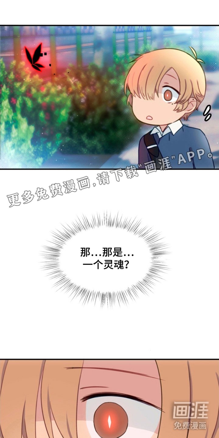 第9章：从未见过