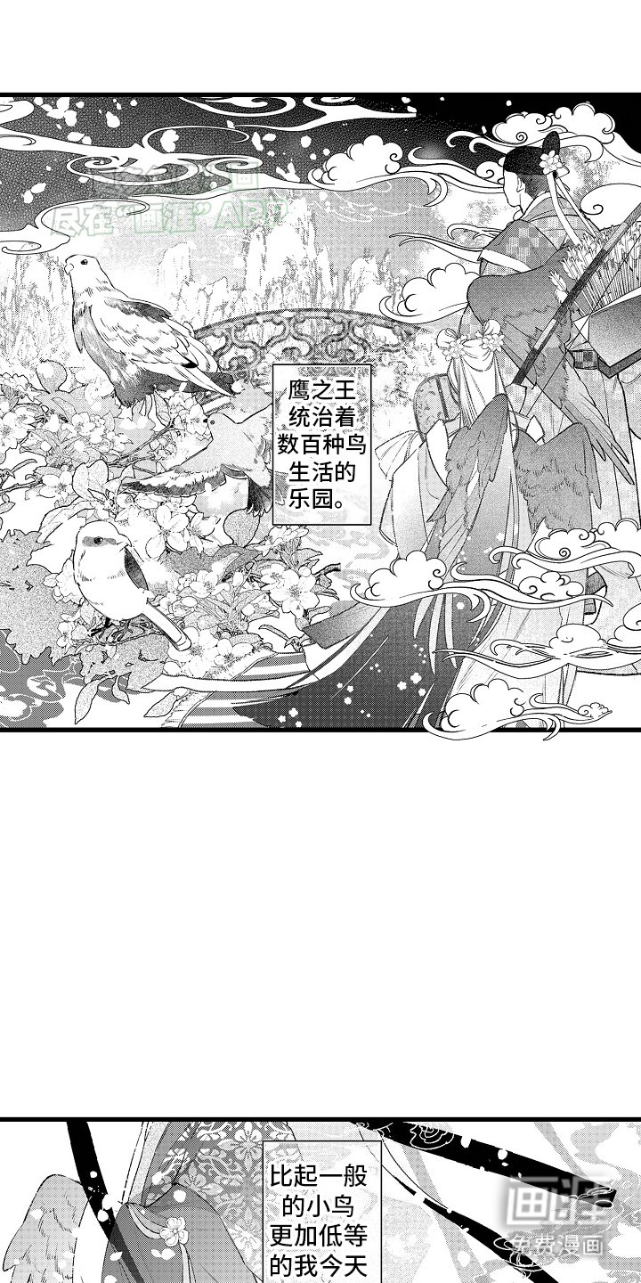 第1章：皇妃