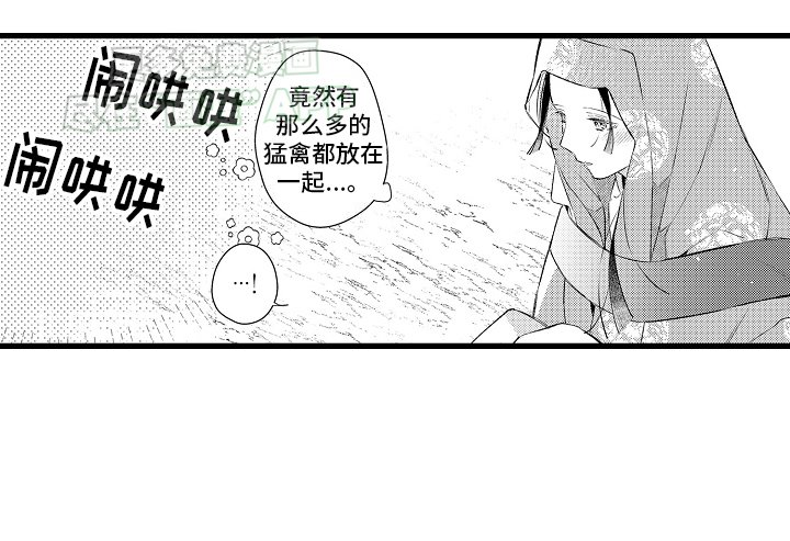 第11章：喜欢的东西