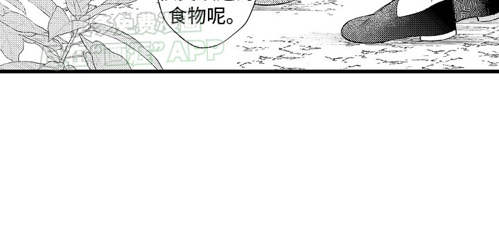 第11章：喜欢的东西