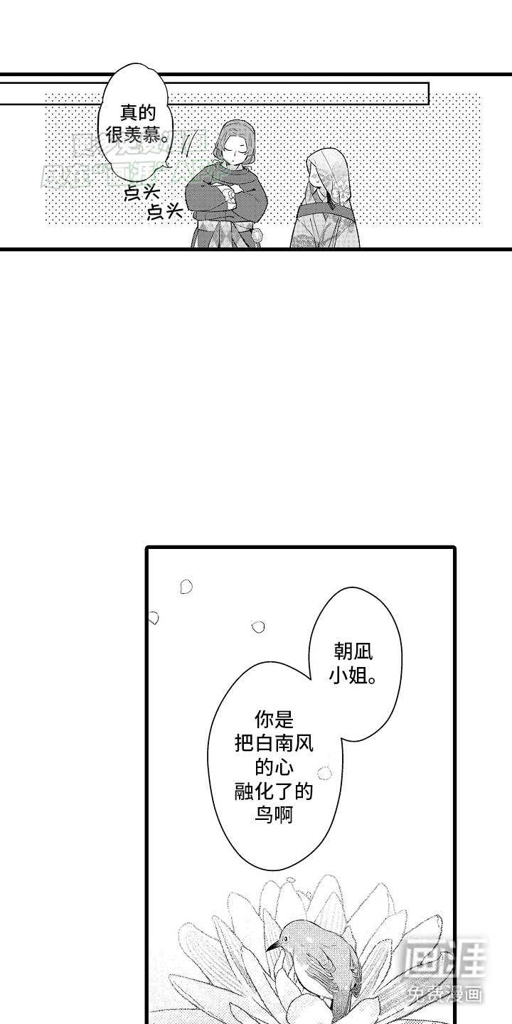 第13章：贝壳画