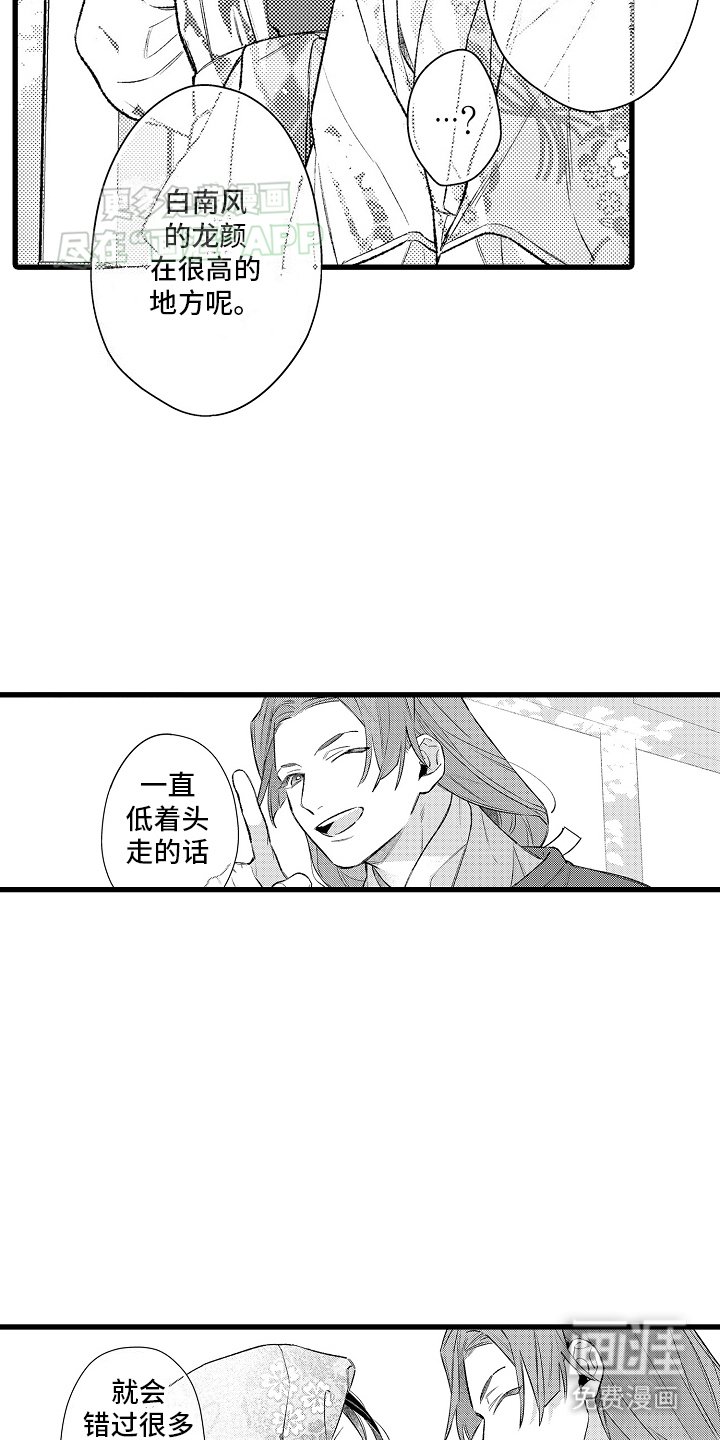 第13章：贝壳画