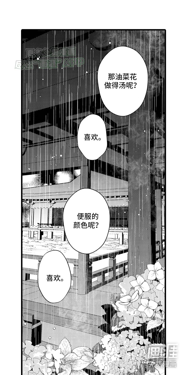 第13章：贝壳画