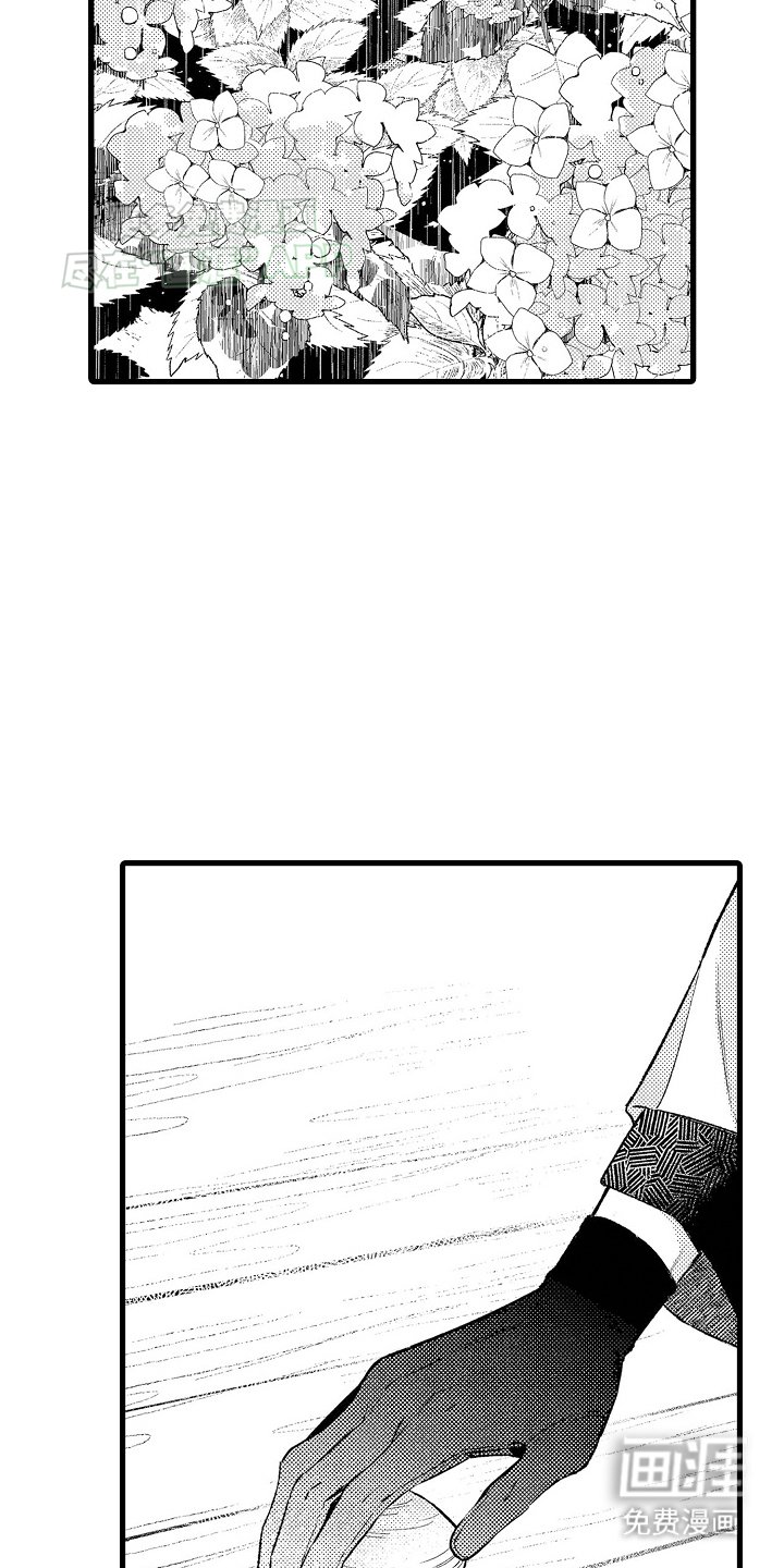 第13章：贝壳画