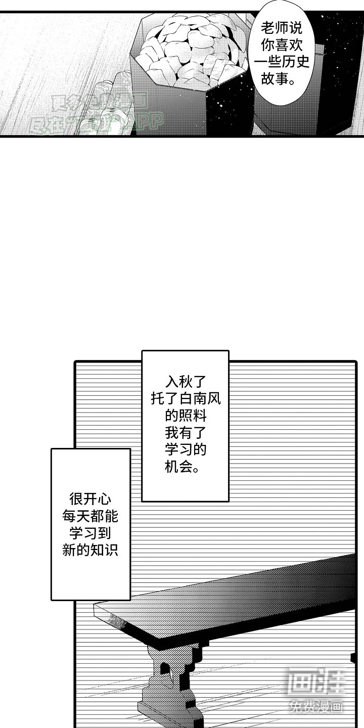 第13章：贝壳画