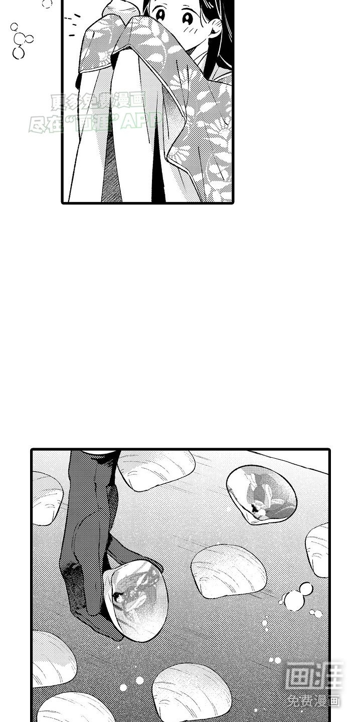 第13章：贝壳画