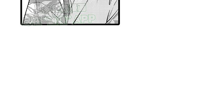 第13章：贝壳画