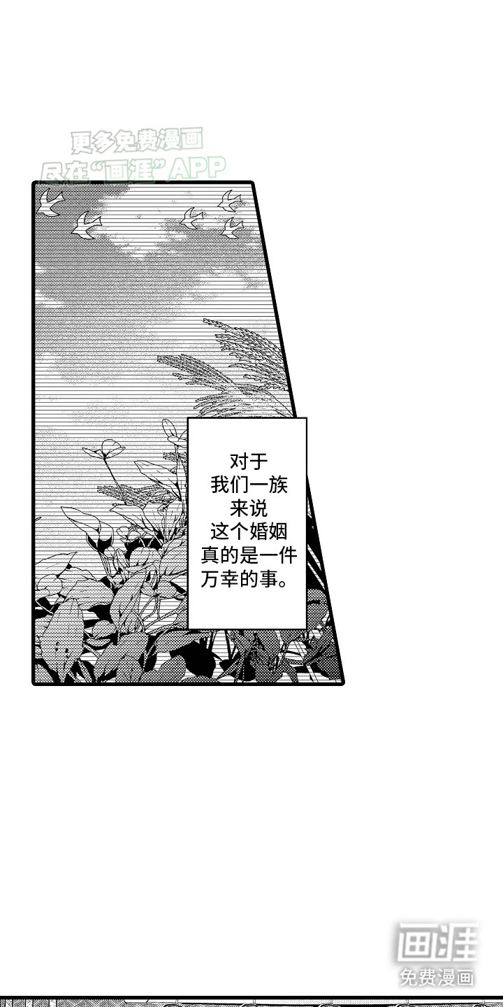 第2章：结婚