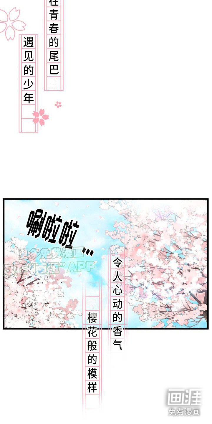 第1章：讨厌他