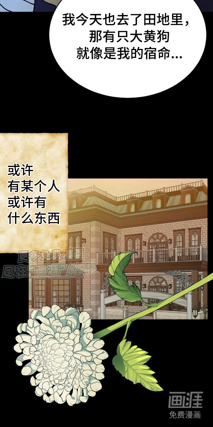 第10章：预告书