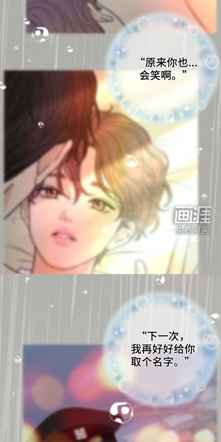 第37章：你很可怜