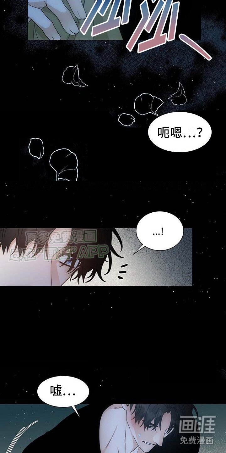 第3章： 不再纯粹