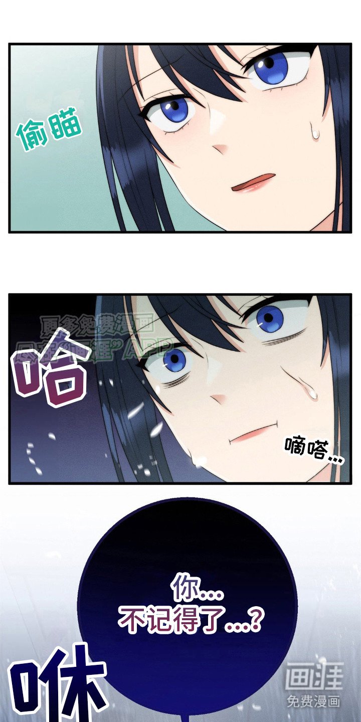 第11章：再试一次