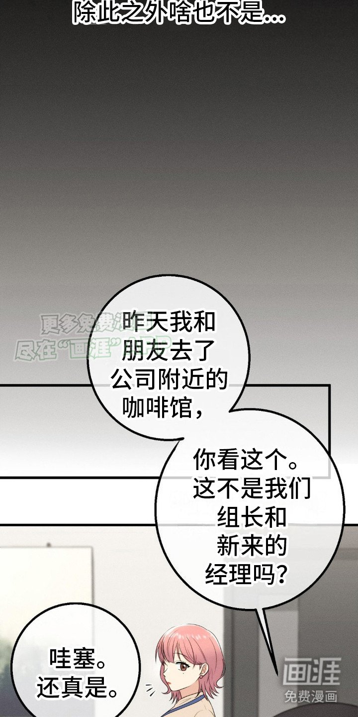 第12章：议论