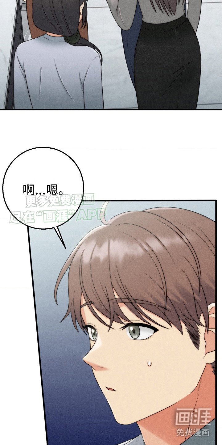 第12章：议论