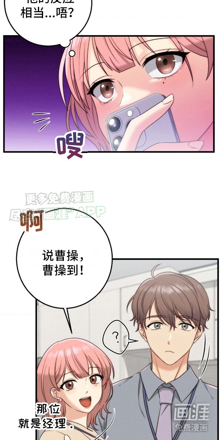 第12章：议论