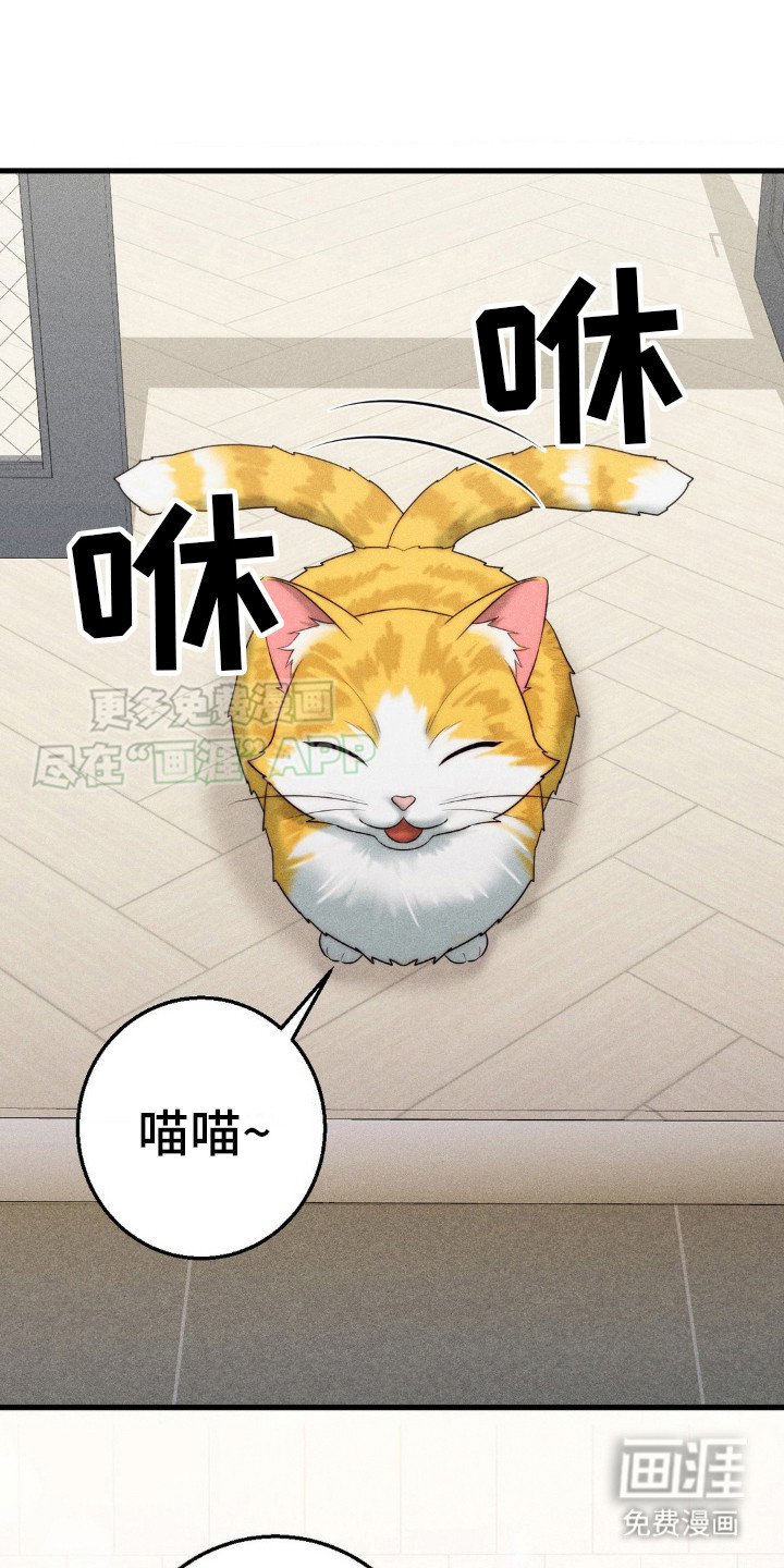 第16章：尴尬