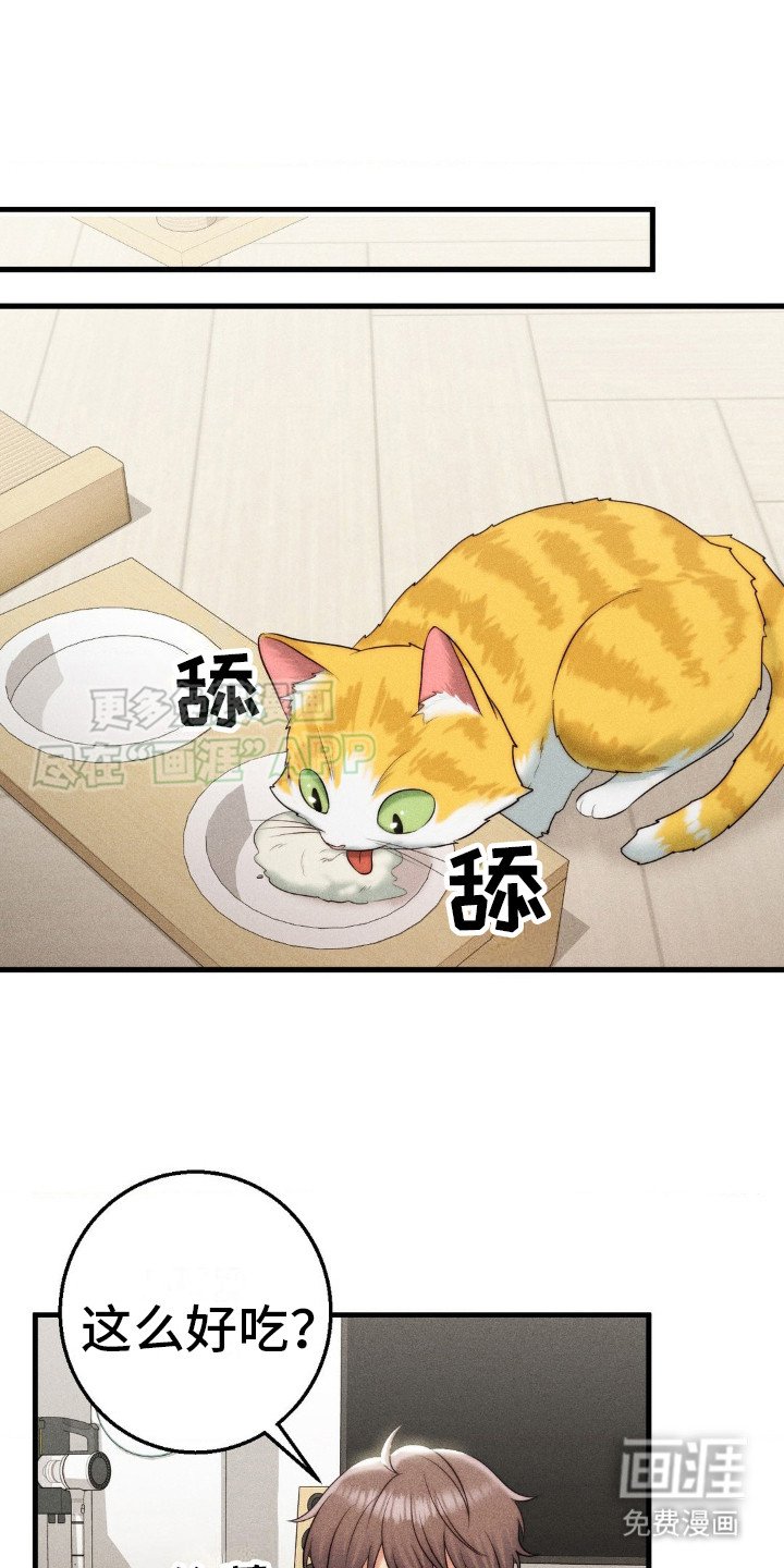 第16章：尴尬