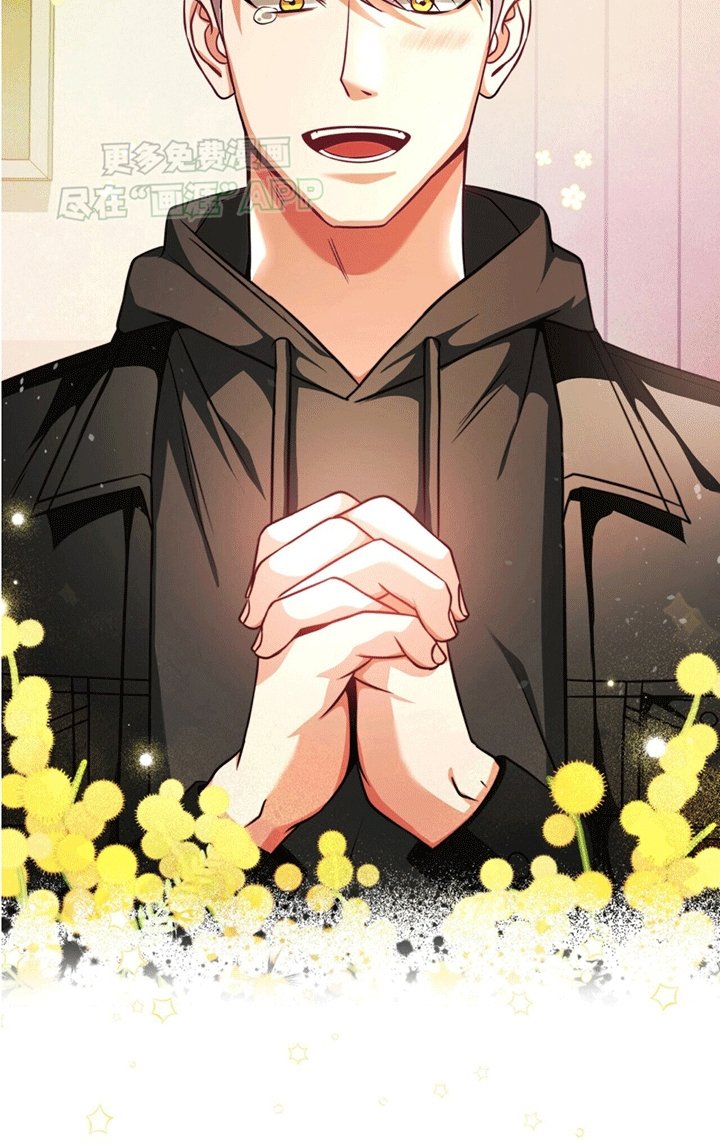第15章：直播服务