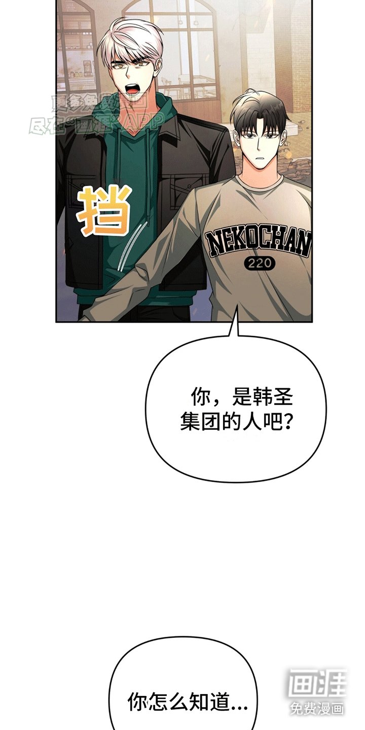 第17章：皲裂