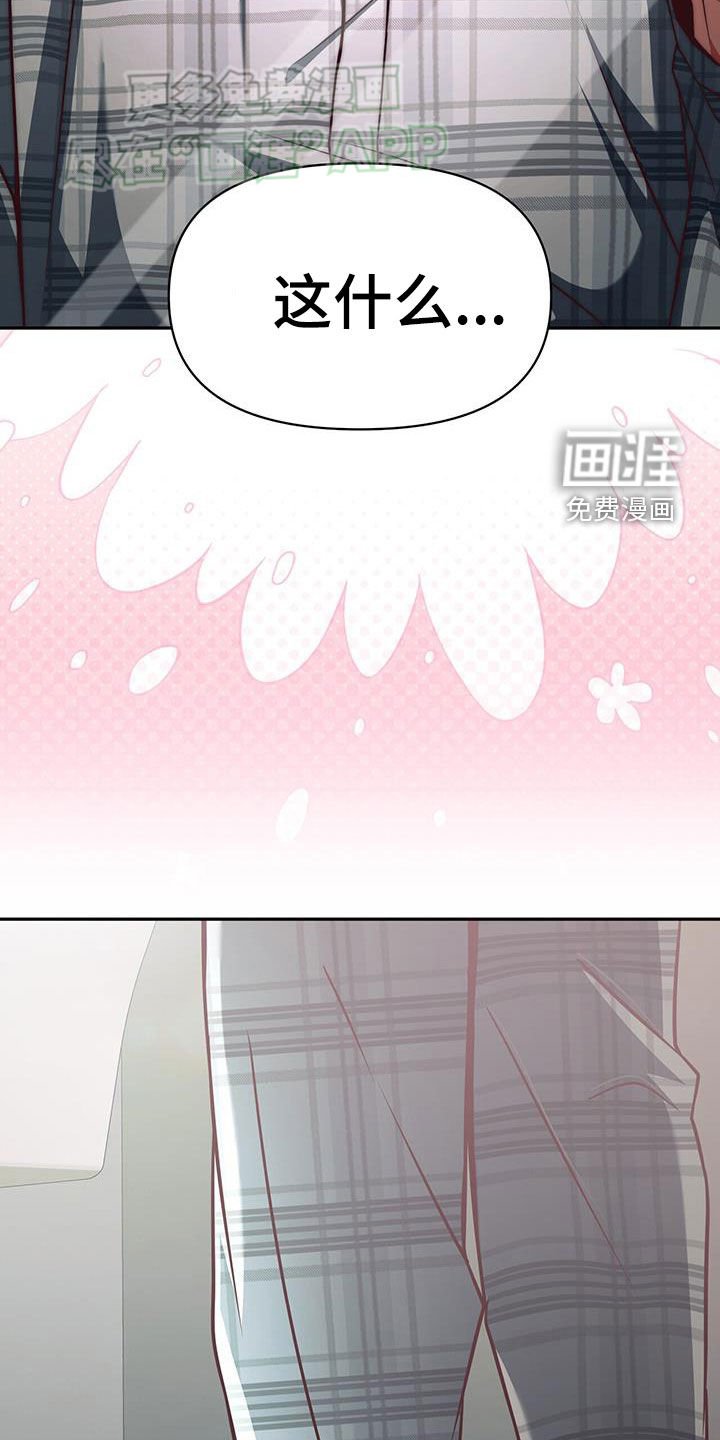 第24章：难以捉摸