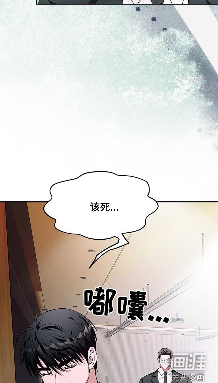 第46章：回来了