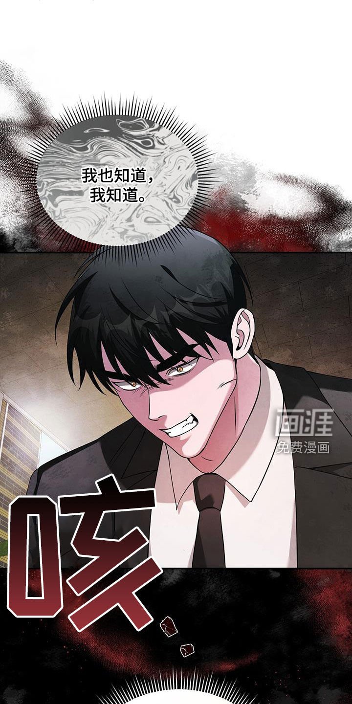 第46章：回来了