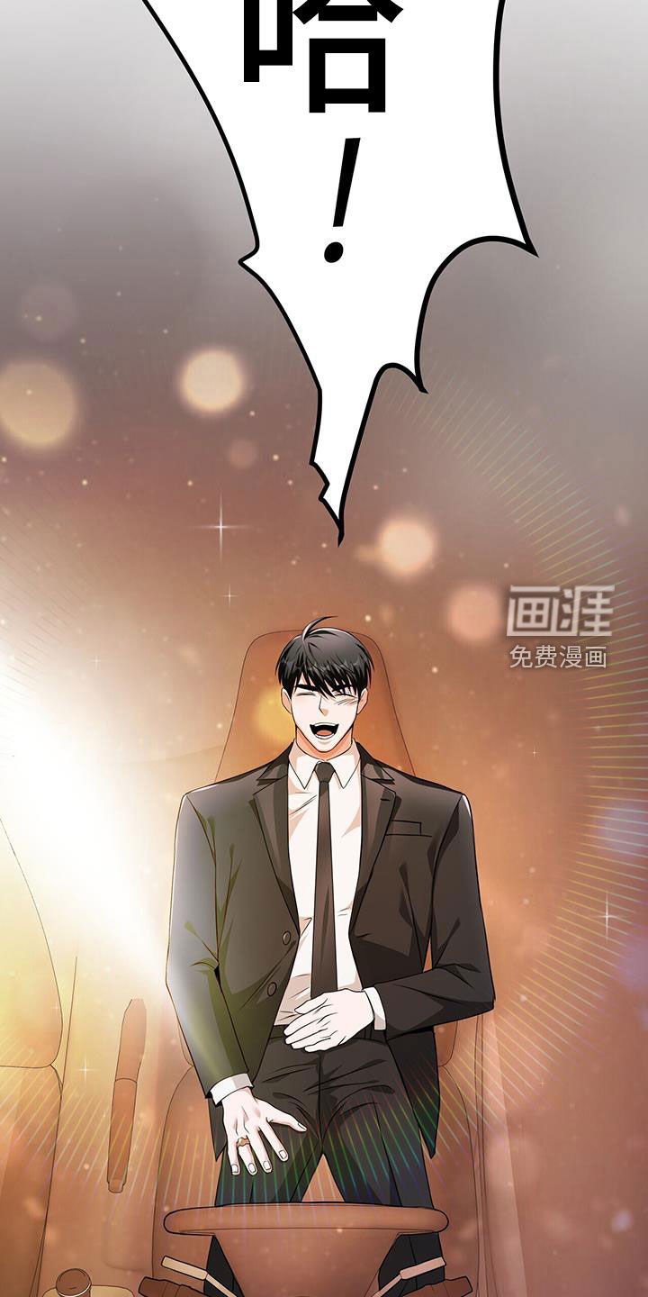 第46章：回来了