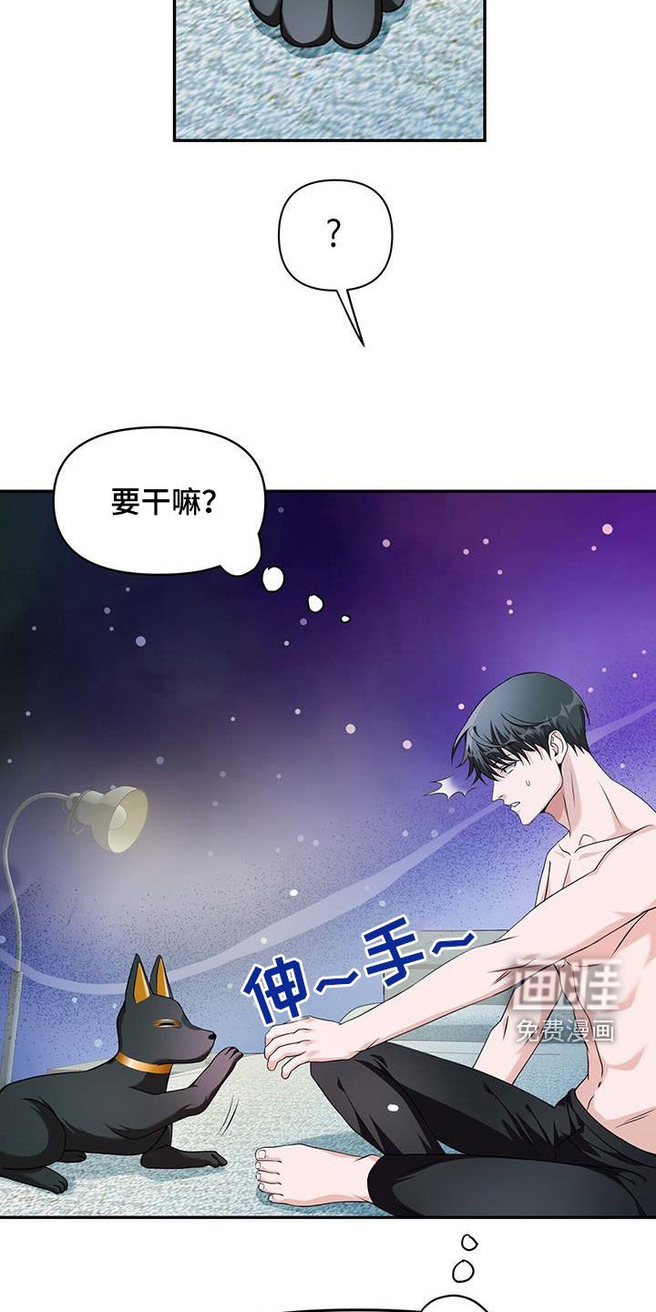 第47章：死而复生