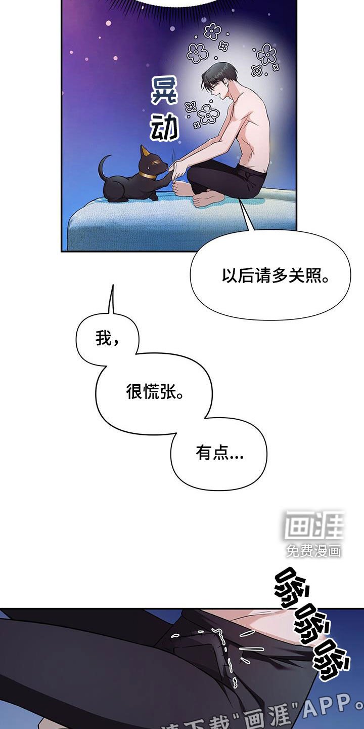 第48章：条件满足