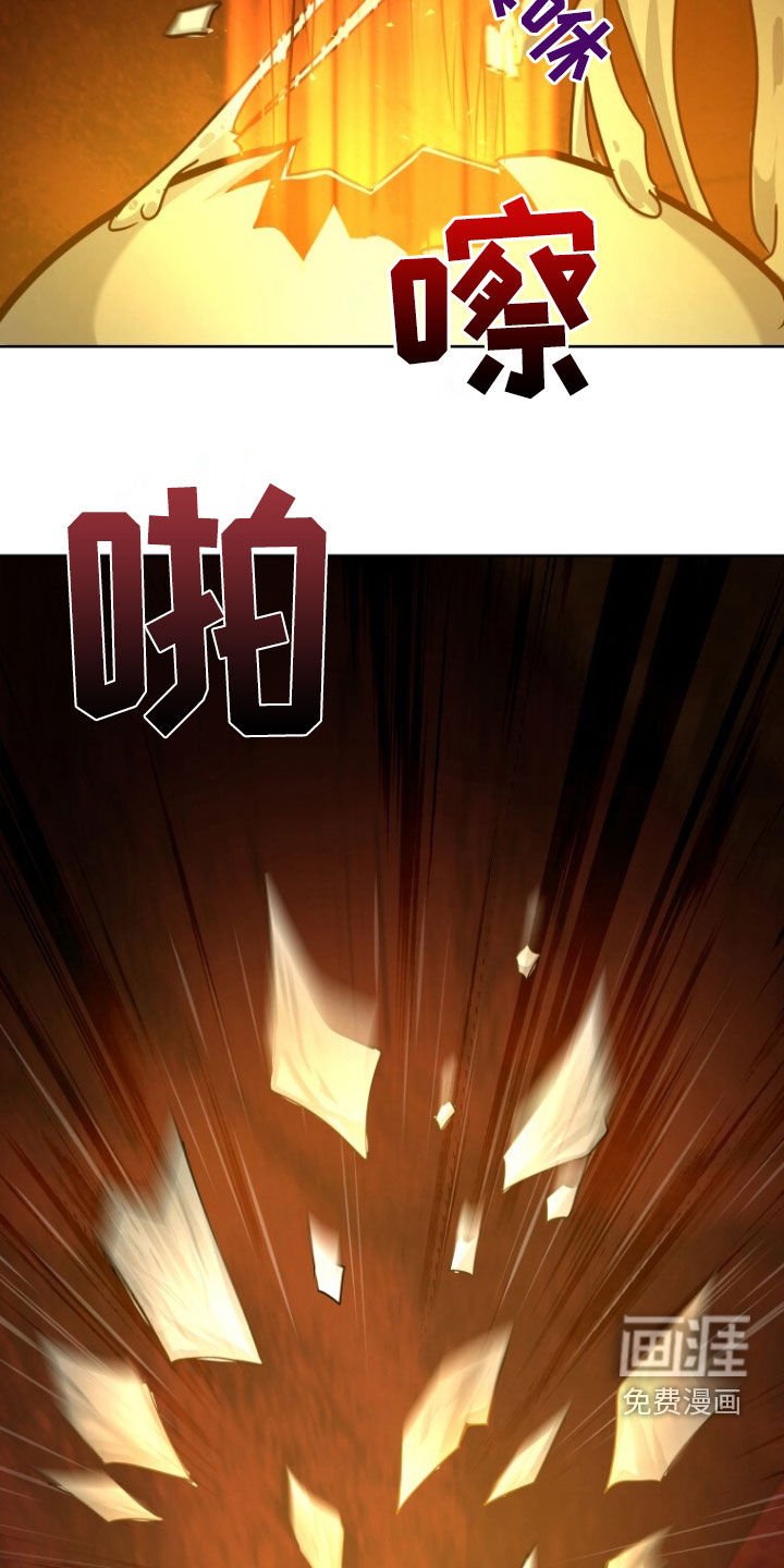 第68章：不死鸟