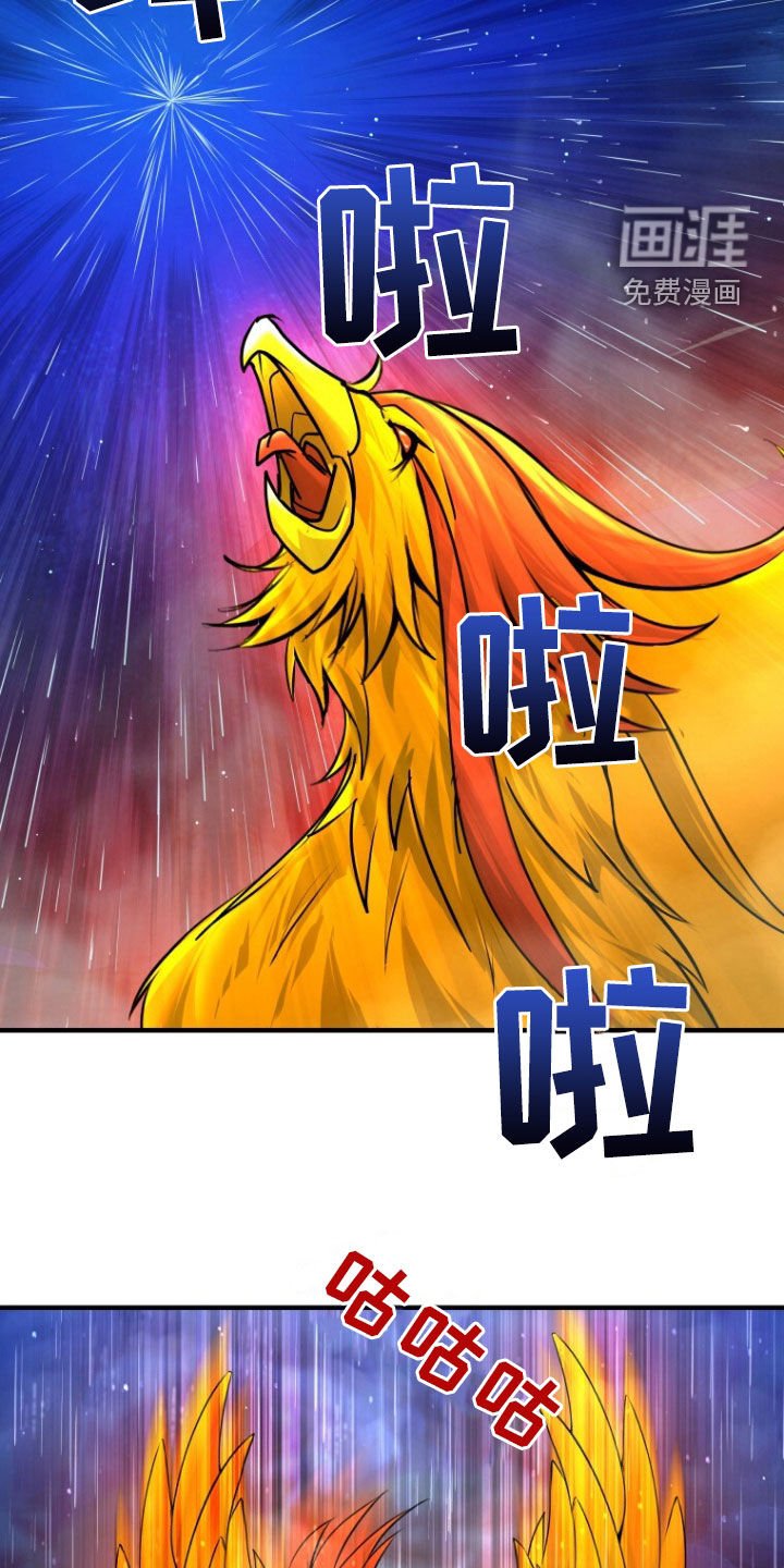 第68章：不死鸟