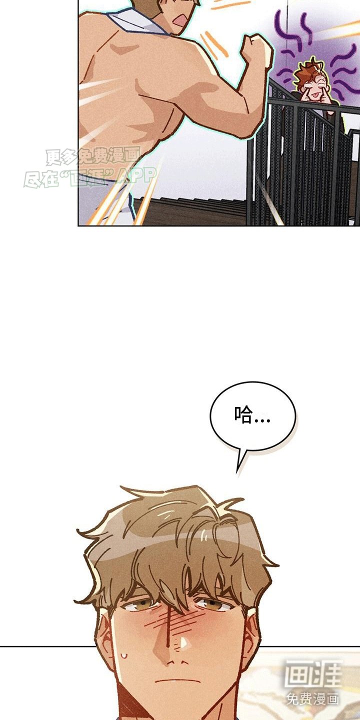 第13章：条件