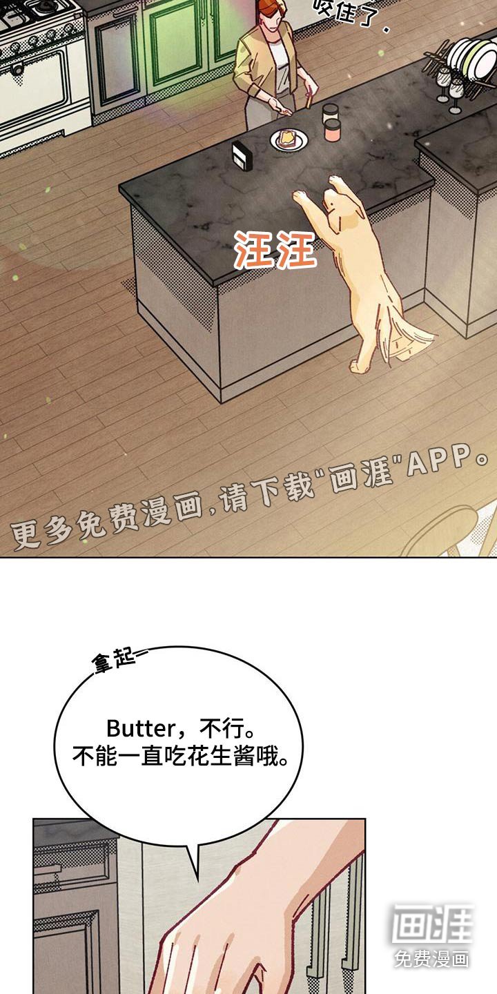 第28章：提示