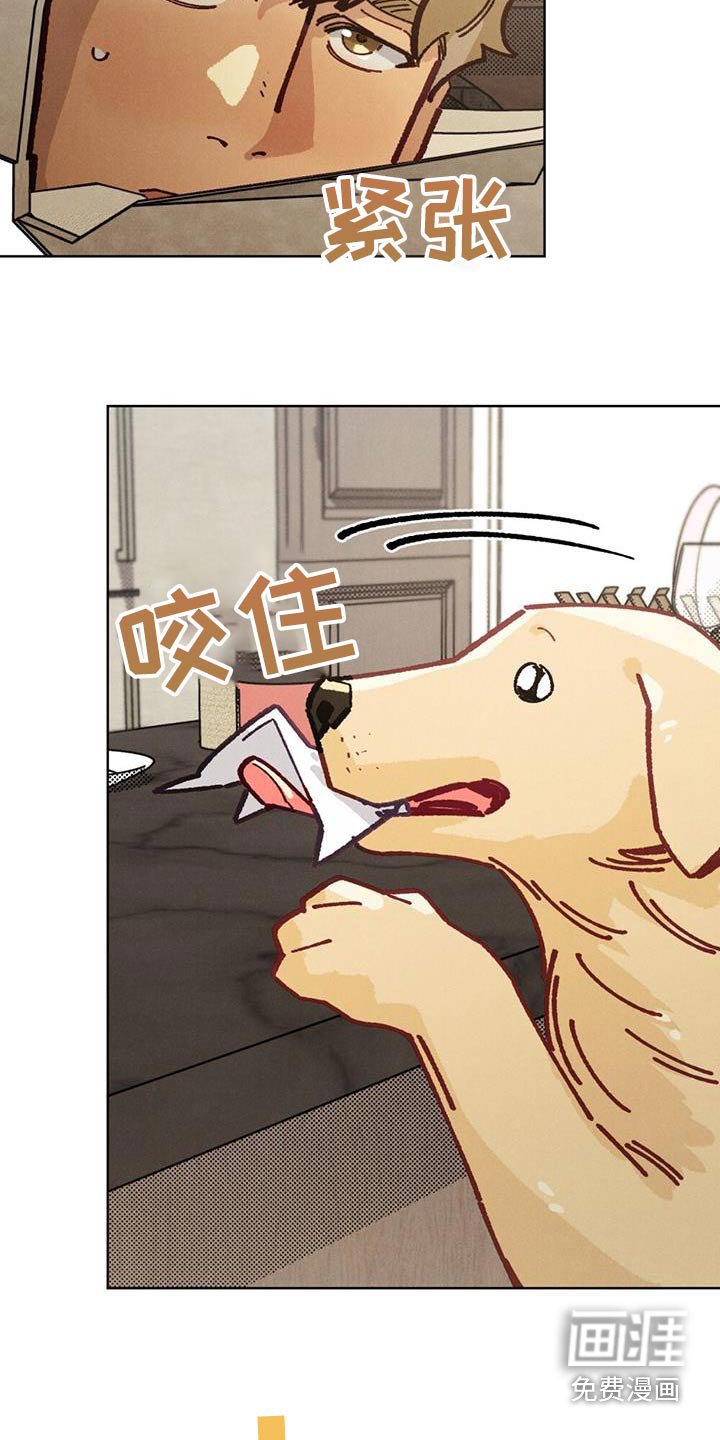 第28章：提示