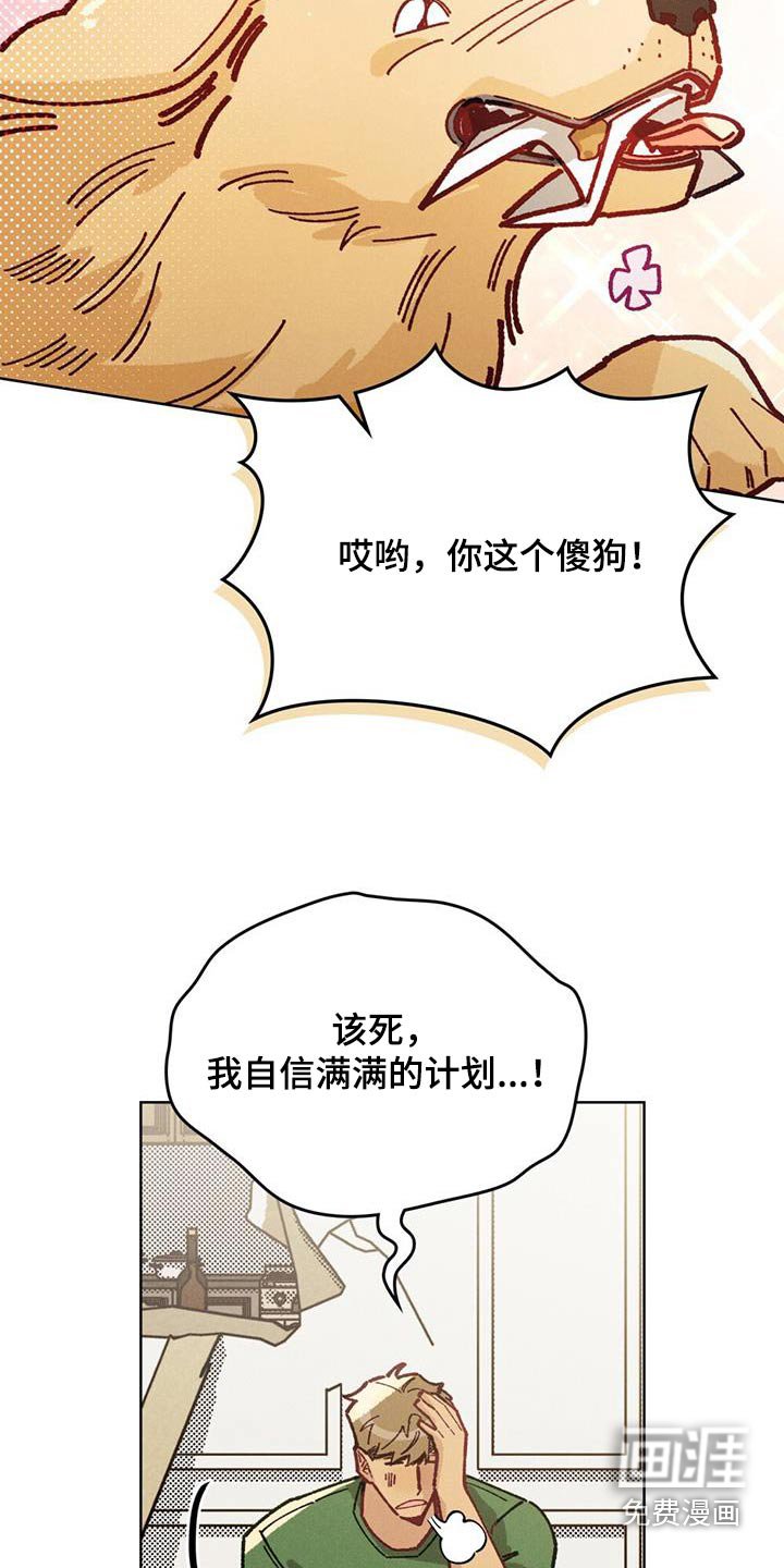 第28章：提示