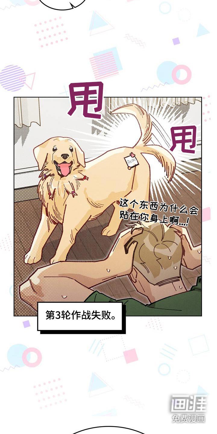 第28章：提示