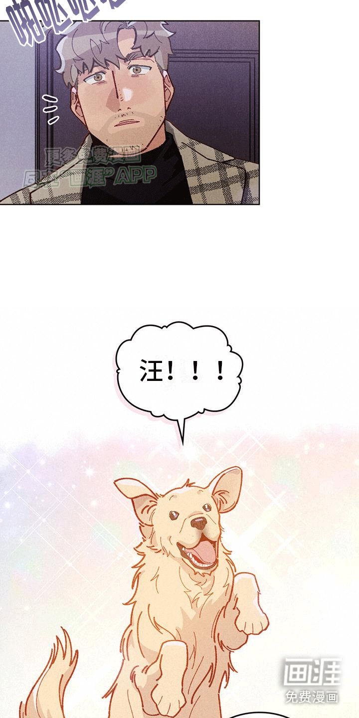 第8章：挽回失败