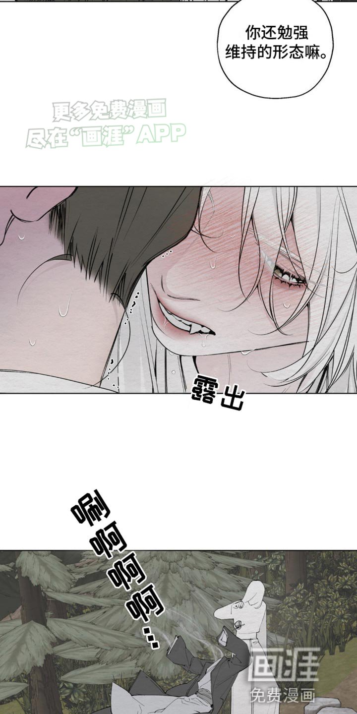 第12章：愚蠢的身体