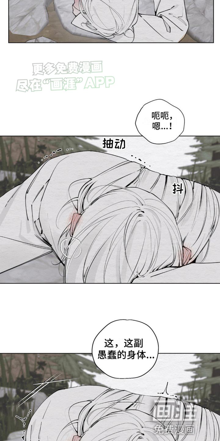 第12章：愚蠢的身体