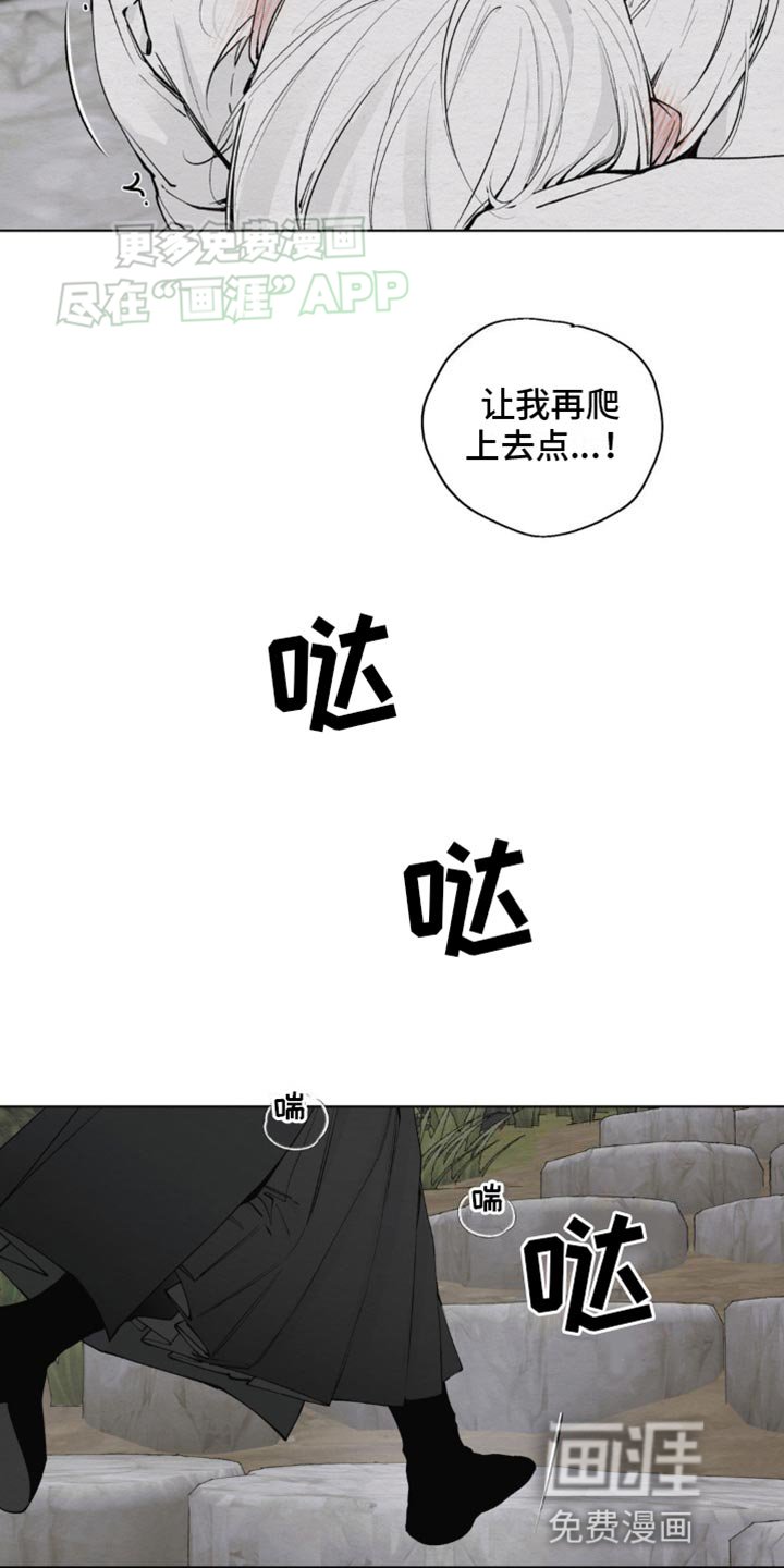第12章：愚蠢的身体