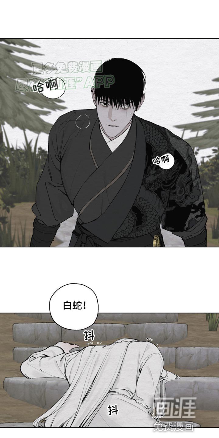 第12章：愚蠢的身体