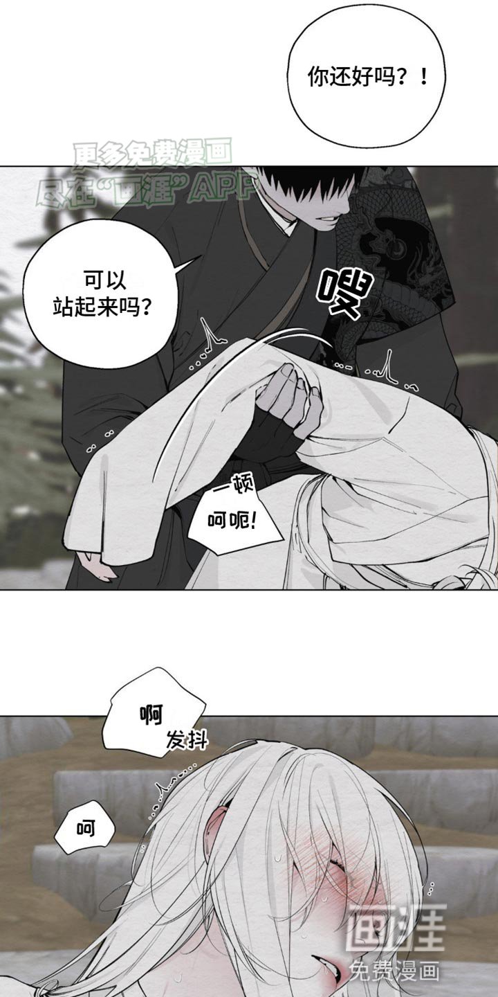 第12章：愚蠢的身体