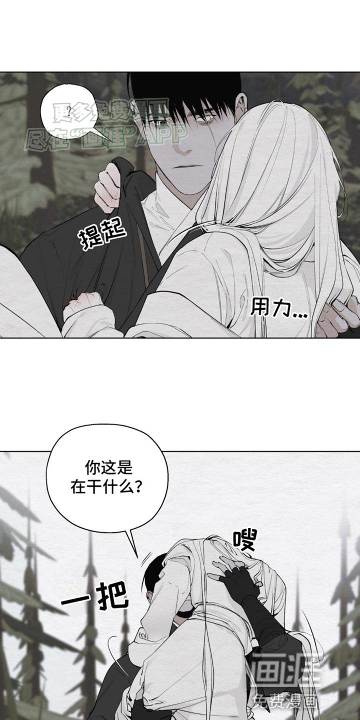 第12章：愚蠢的身体