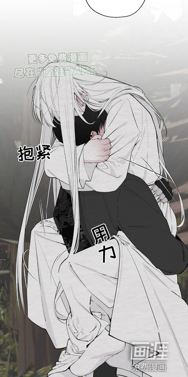 第12章：愚蠢的身体